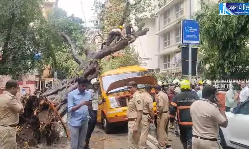 गुजर रही बस पर गिरा पेड़, स्टूडेंट की मौत
