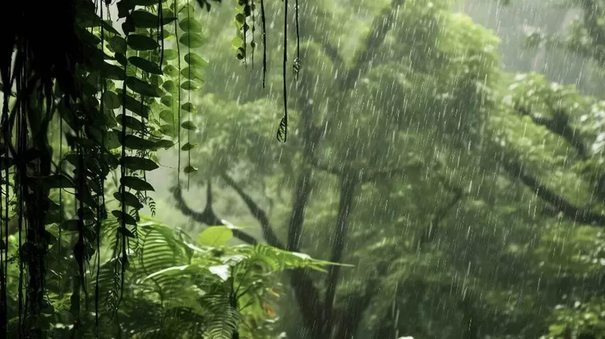 Kerala: दो जिलों में आफत की बारिश: मौसम विभाग का अलर्ट