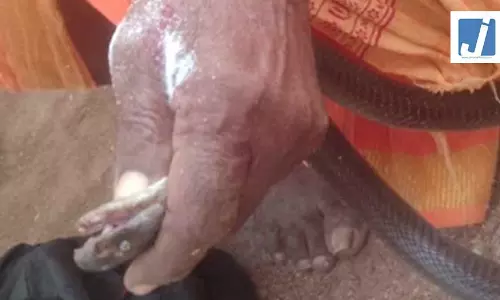 जिस काम में था माहिर, उसी में खा गया मात, सांप ने डसा, मौत