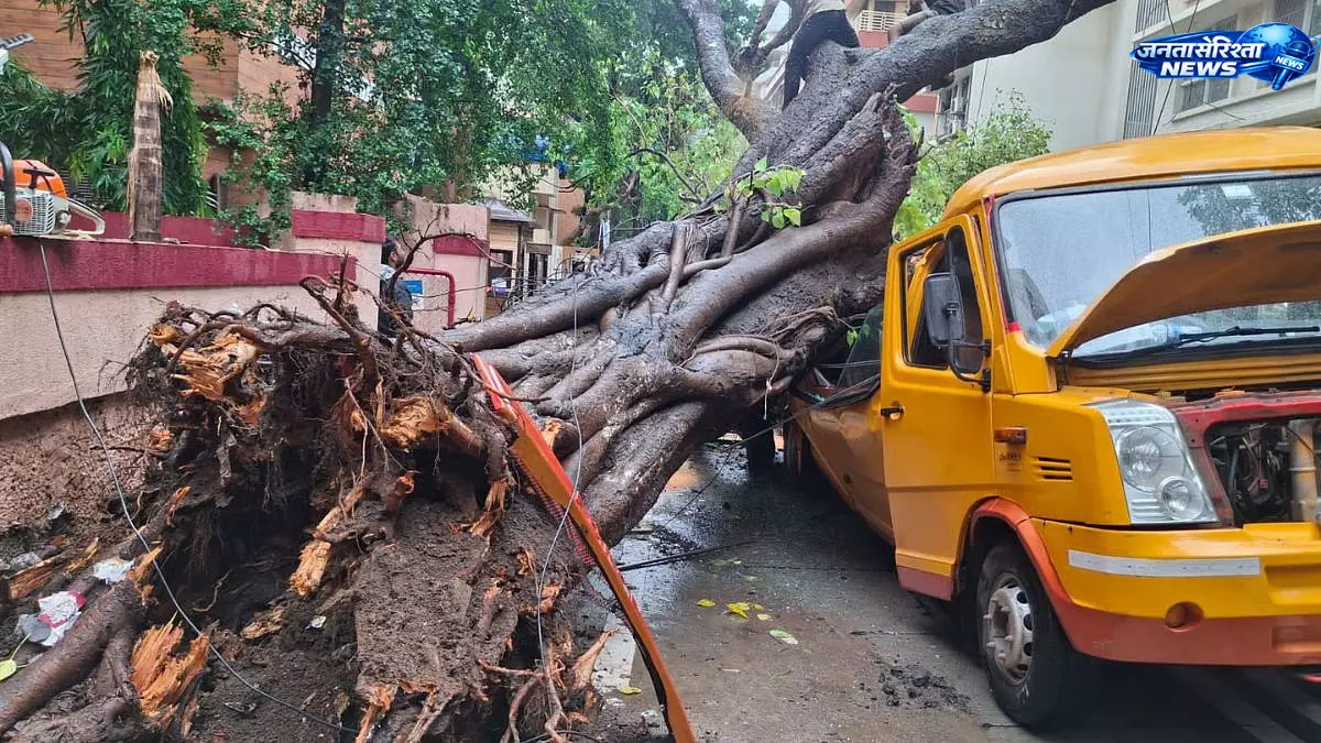 Mumbai : चेंबूर में बारिश के बीच बड़ा हादसा, स्कूल बस पर गिरा पेड़, दो छात्र फंसे Mumbai : चेंबूर में बारिश के बीच बड़ा हादसा, स्कूल बस पर गिरा पेड़, दो छात्र फंसे