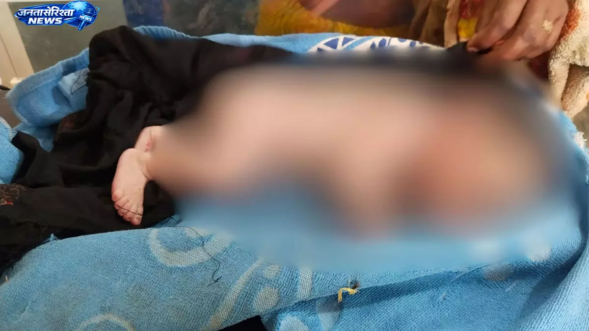 Shivpuri : सड़क किनारे मिला नवजात, डायल-112 टीम ने बचाकर अस्पताल में कराया भर्ती Shivpuri : सड़क किनारे मिला नवजात, डायल-112 टीम ने बचाकर अस्पताल में कराया भर्ती