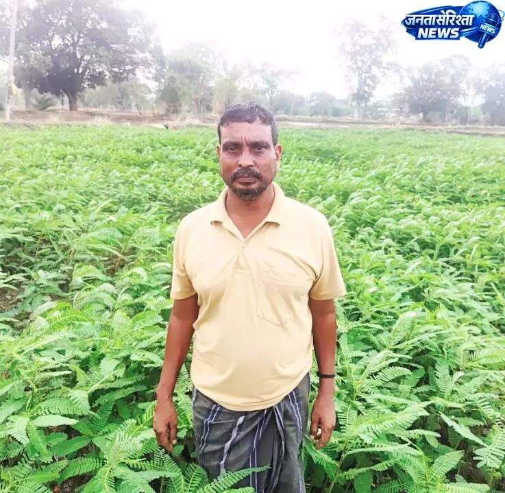 कृषक रूक्मण और गोकुल ने हरी खाद तकनीक अपनाकर कृषक रूक्मण और गोकुल ने हरी खाद तकनीक अपनाकर