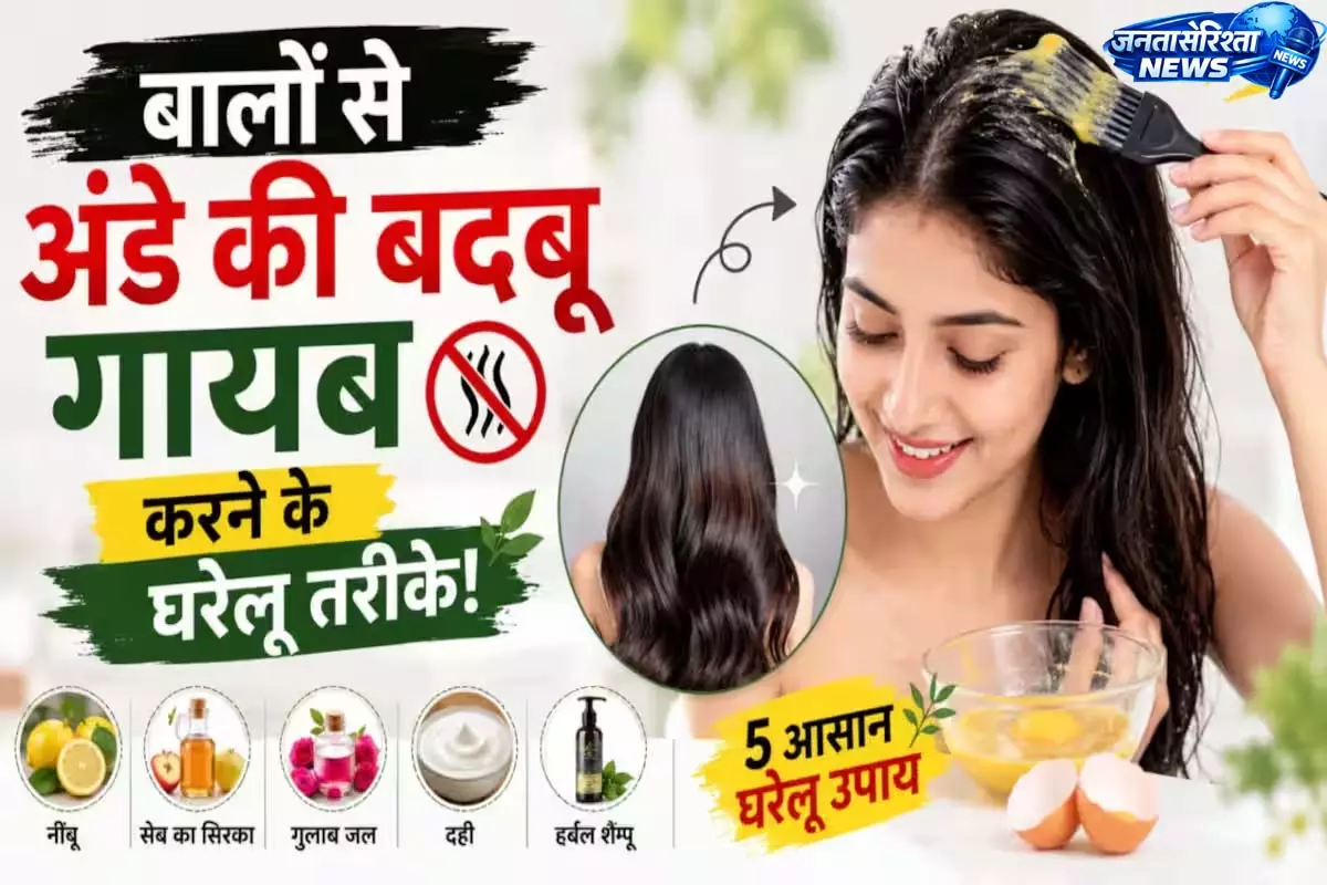 बालों में अंडा लगाया है? बदबू दूर करने के लिए अपनाएं ये आसान उपाय बालों में अंडा लगाया है? बदबू दूर करने के लिए अपनाएं ये आसान उपाय
