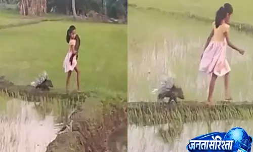 धान के खेतों में साही के साथ घूमती दिखी श्रीलंकाई लड़की, वीडियो ने जीते इंटरनेट के दिल