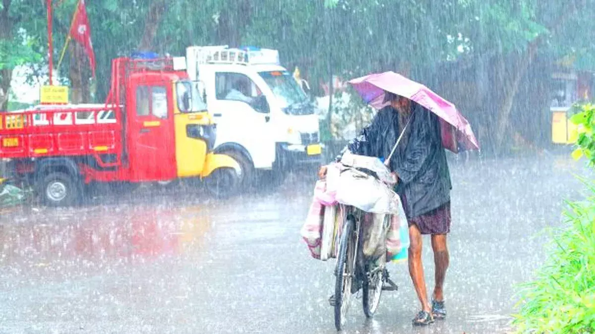 kerala: इस जिले में कल एजुकेशनल इंस्टीट्यूट बंद, प्रशासन ने घोषित की छुट्टी kerala: इस जिले में कल एजुकेशनल इंस्टीट्यूट बंद, प्रशासन ने घोषित की छुट्टी