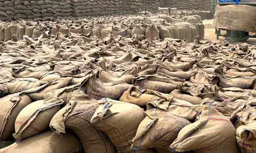 Karnal गेहूं घोटाले में गायब स्टॉक का दायरा बढ़ा Karnal गेहूं घोटाले में गायब स्टॉक का दायरा बढ़ा