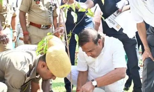 असम में वन महोत्सव की शुरुआत, सीएम हिमंता बिस्वा सरमा ने लोगों से की एक-एक पौधा लगाने की अपील असम में वन महोत्सव की शुरुआत, सीएम हिमंता बिस्वा सरमा ने लोगों से की एक-एक पौधा लगाने की अपील