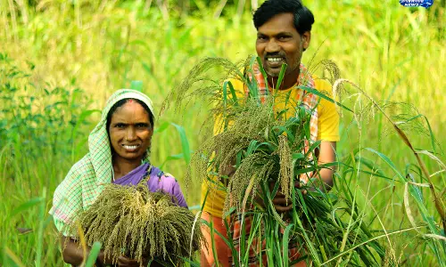 Karnataka : कम लागत तकनीक से मिट्टी की उर्वरता बढ़ेगी Karnataka : कम लागत तकनीक से मिट्टी की उर्वरता बढ़ेगी