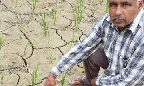 Punjab के किसानों की मुश्किलें बढ़ीं Punjab के किसानों की मुश्किलें बढ़ीं