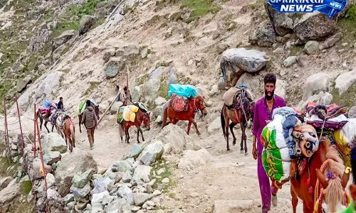 Amarnath Yatra 2026: श्रीनगर पहुंचे श्रद्धालु, जम्मू में RFID प्रक्रिया शुरू Amarnath Yatra 2026: श्रीनगर पहुंचे श्रद्धालु, जम्मू में RFID प्रक्रिया शुरू