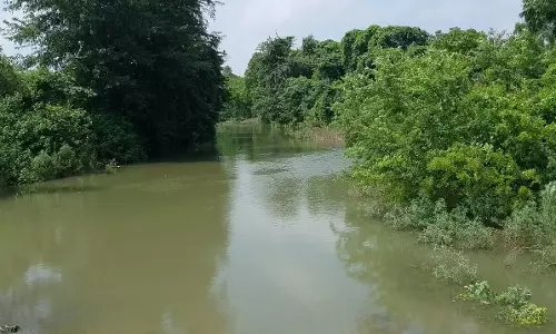 Haridwar: मानसून की देरी से हरिद्वार में जल संकट गहराया, भूजल स्तर नीचे Haridwar: मानसून की देरी से हरिद्वार में जल संकट गहराया, भूजल स्तर नीचे
