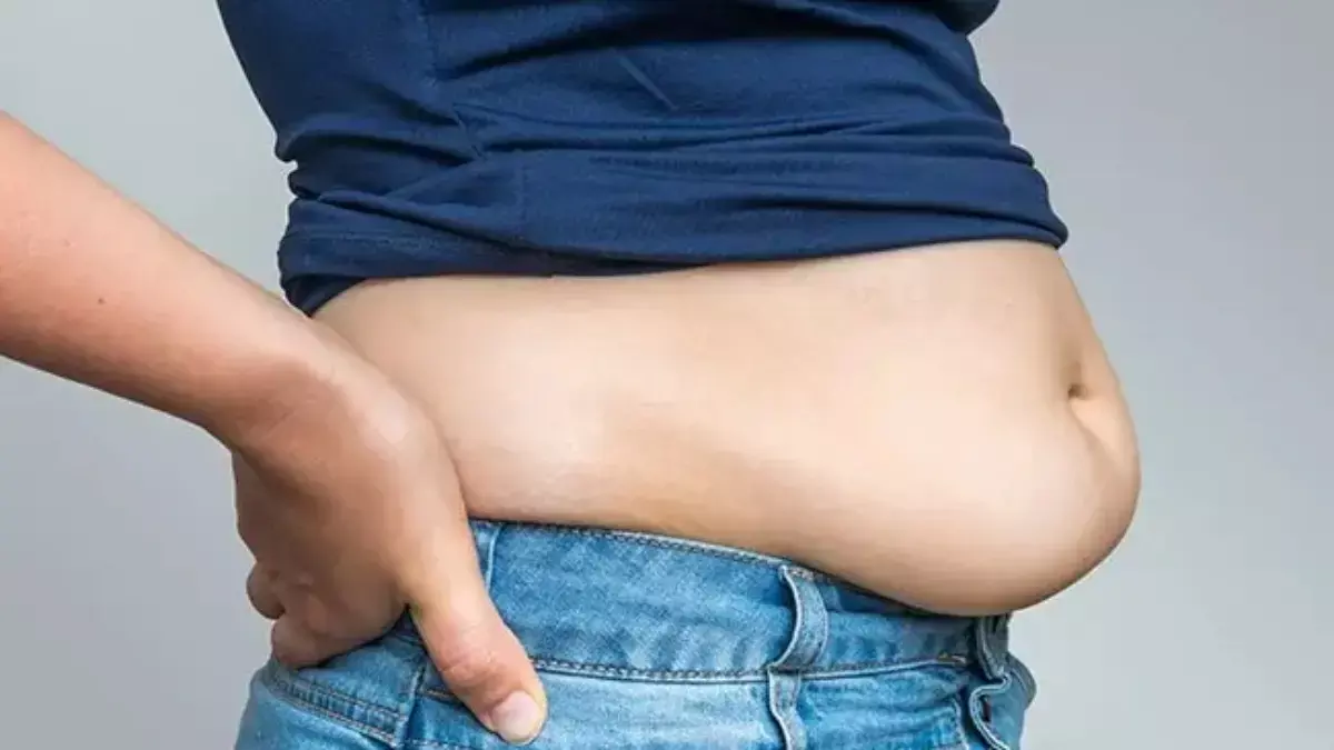 बिना कठिन एक्सरसाइज के बेली फैट कम करने के असरदार टिप्स, जानें क्या करें बिना कठिन एक्सरसाइज के बेली फैट कम करने के असरदार टिप्स, जानें क्या करें