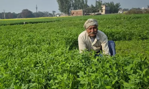 Agricultural भूमि बिक्री टैक्स कब देना पड़ता है, जानें नियम Agricultural भूमि बिक्री टैक्स कब देना पड़ता है, जानें नियम