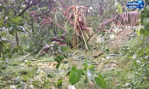 Kerala : पुष्पगिरी इलाके में जंगली हाथियों का कहर, कई एकड़ फसलें बर्बाद Kerala : पुष्पगिरी इलाके में जंगली हाथियों का कहर, कई एकड़ फसलें बर्बाद