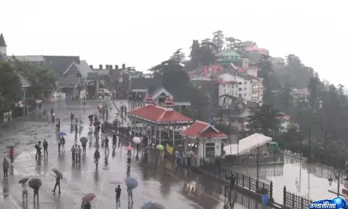 दक्षिण-पश्चिम मानसून पूरे Himachal में पहुंचा, 6 दिन की देरी से आगमन दक्षिण-पश्चिम मानसून पूरे Himachal में पहुंचा, 6 दिन की देरी से आगमन