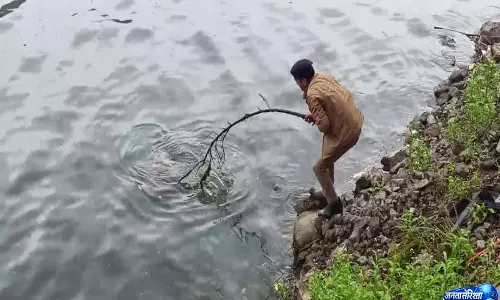 Naini Lake बन रही मौत का अड्डा, एक सप्ताह में मिले तीन शव, तीन वर्षों में 25 लोगों ने की आत्महत्या Naini Lake बन रही मौत का अड्डा, एक सप्ताह में मिले तीन शव, तीन वर्षों में 25 लोगों ने की आत्महत्या