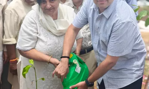 Municipal  ने वन महोत्सव के तहत पौधारोपण अभियान चलाया