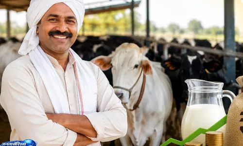 UP सरकार की योजना से ग्रामीणों को फायदा, डेयरी व्यवसाय पर मिल रही सहायता UP सरकार की योजना से ग्रामीणों को फायदा, डेयरी व्यवसाय पर मिल रही सहायता