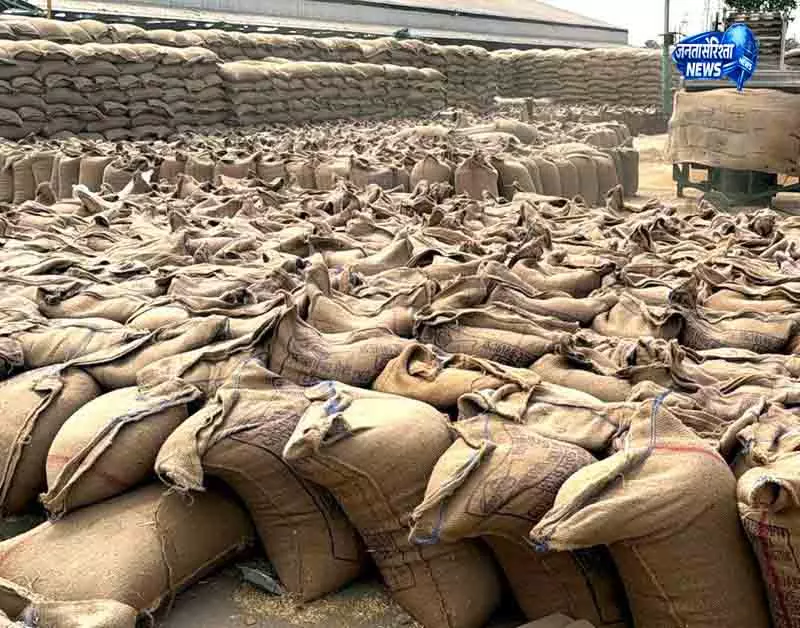 Karnal गेहूं घोटाले में गायब स्टॉक का दायरा बढ़ा Karnal गेहूं घोटाले में गायब स्टॉक का दायरा बढ़ा