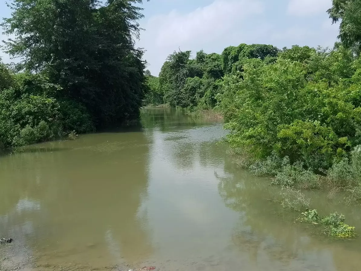 Haridwar: मानसून की देरी से हरिद्वार में जल संकट गहराया, भूजल स्तर नीचे Haridwar: मानसून की देरी से हरिद्वार में जल संकट गहराया, भूजल स्तर नीचे