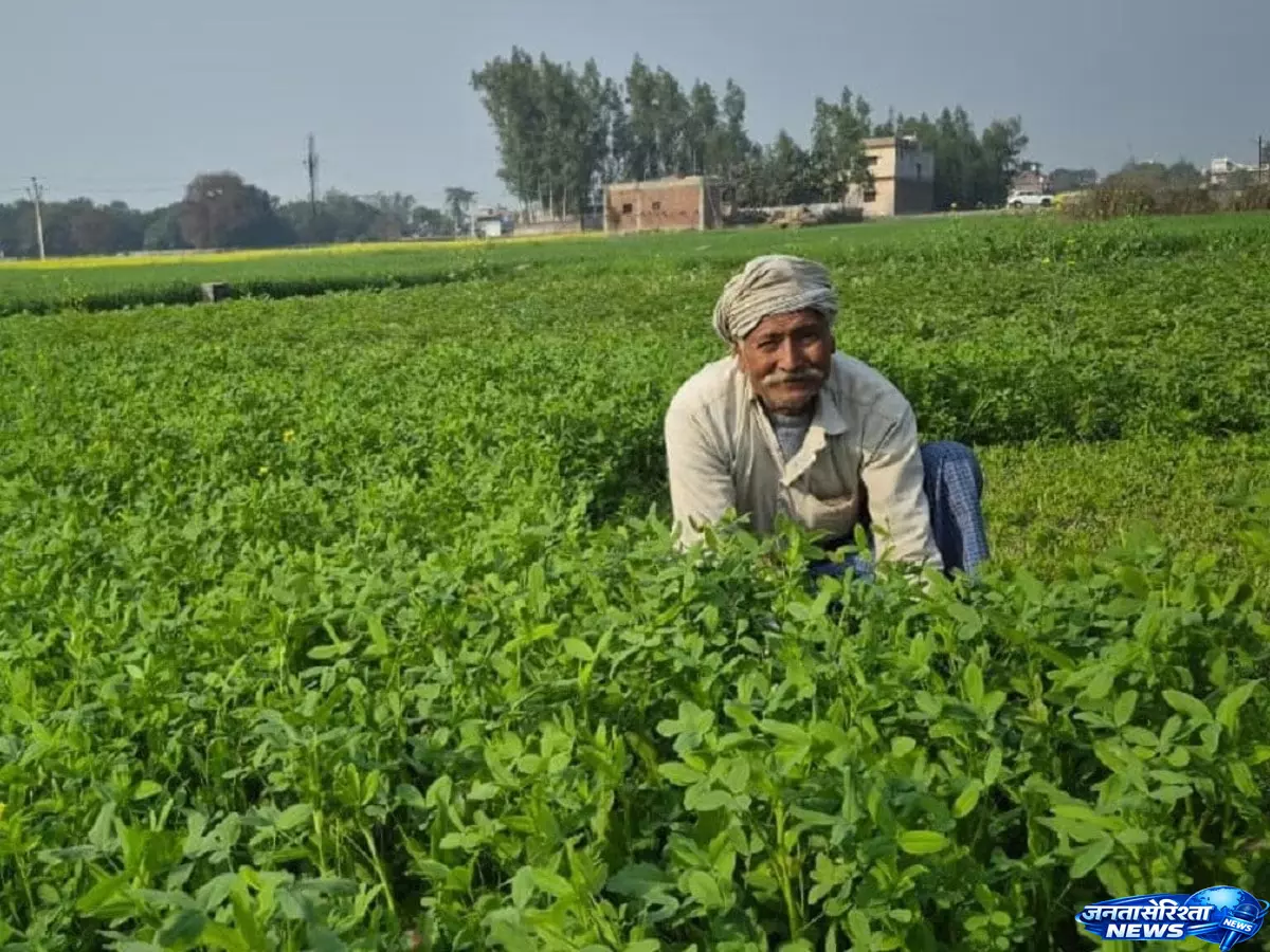 Agricultural भूमि बिक्री टैक्स कब देना पड़ता है, जानें नियम Agricultural भूमि बिक्री टैक्स कब देना पड़ता है, जानें नियम