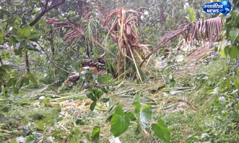 Kerala : पुष्पगिरी इलाके में जंगली हाथियों का कहर, कई एकड़ फसलें बर्बाद Kerala : पुष्पगिरी इलाके में जंगली हाथियों का कहर, कई एकड़ फसलें बर्बाद