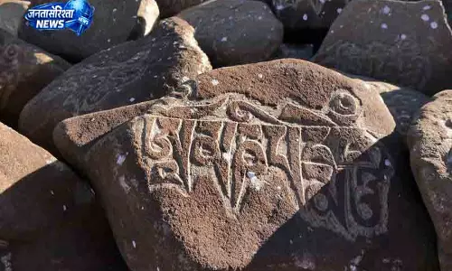 Delhi रिज में रहस्यमयी रॉक नक्काशी मिली Delhi रिज में रहस्यमयी रॉक नक्काशी मिली
