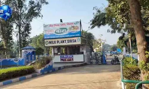 Sirsa वीटा प्लांट पर 15 करोड़ भुगतान में देरी Sirsa वीटा प्लांट पर 15 करोड़ भुगतान में देरी