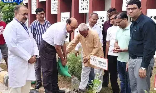 Rohtak स्वास्थ्य विश्वविद्यालय हरित परिसर मिशन में शामिल हुआ Rohtak स्वास्थ्य विश्वविद्यालय हरित परिसर मिशन में शामिल हुआ