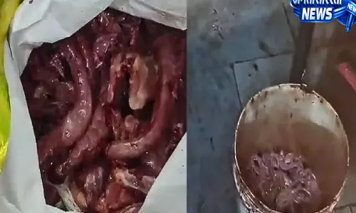 हैदराबाद की चिकन शॉप पर कचरा प्रबंधन में लापरवाही, ₹3,000 का जुर्माना हैदराबाद की चिकन शॉप पर कचरा प्रबंधन में लापरवाही, ₹3,000 का जुर्माना