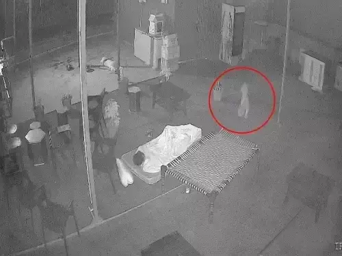 Sirohi: लेपर्ड का खौफनाक हमला, पहले कुत्ते का शिकार फिर होटल में घुसा Sirohi: लेपर्ड का खौफनाक हमला, पहले कुत्ते का शिकार फिर होटल में घुसा