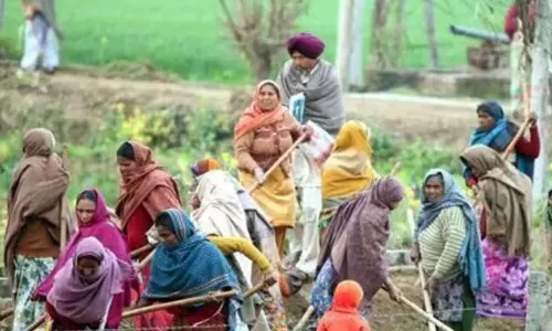 Rural रोजगार में बड़ा बदलाव, नई स्कीम में मजदूरी में तेज बढ़ोतरी Rural रोजगार में बड़ा बदलाव, नई स्कीम में मजदूरी में तेज बढ़ोतरी