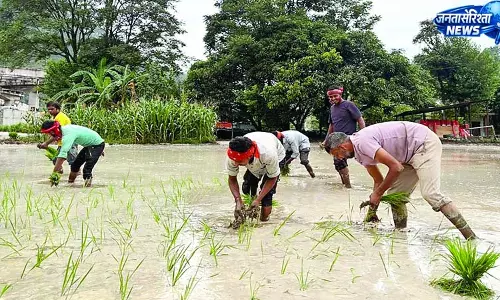 मंडी में मानसून हुआ एक्टिव ब्यास उफान पर, सडक़ें बंद