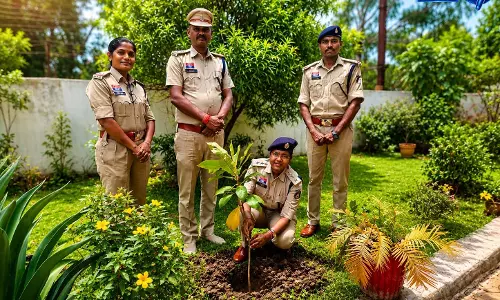खैरागढ़ में एकता वृक्षारोपण अभियान के साथ जनसमस्याओं का हुआ समाधान