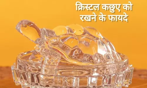 Home और ऑफिस में क्रिस्टल कछुआ रखने के नियम Home और ऑफिस में क्रिस्टल कछुआ रखने के नियम