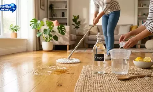 पोछे के पानी में डालें ये 5 घरेलू चीजें पोछे के पानी में डालें ये 5 घरेलू चीजें