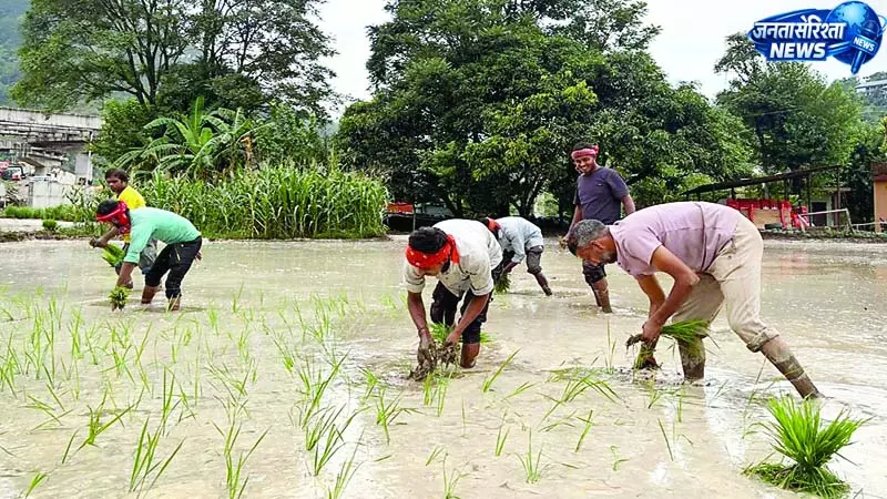 मंडी में मानसून हुआ एक्टिव ब्यास उफान पर, सडक़ें बंद मंडी में मानसून हुआ एक्टिव ब्यास उफान पर, सडक़ें बंद
