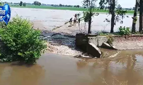 Firozpur: नहर हादसे से खेती को नुकसान Firozpur: नहर हादसे से खेती को नुकसान