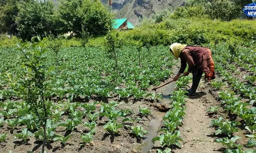 नई  Technology  से बढ़ेगी फसल उत्पादन की रफ्तार