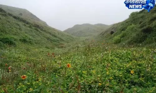 बुग्याल में खाई में बदल रहे घास के मैदान