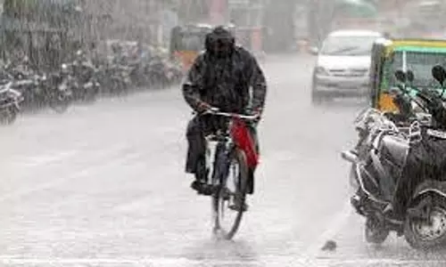 IMD ने आने वाले घंटों में 10 जिलों में बारिश और तेज हवाओं की भविष्यवाणी की IMD ने आने वाले घंटों में 10 जिलों में बारिश और तेज हवाओं की भविष्यवाणी की