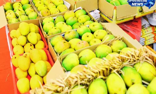 Mango डिप्लोमेसी से रिश्तों में नई परीक्षा Mango डिप्लोमेसी से रिश्तों में नई परीक्षा