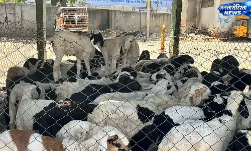 पंजाब ने हटाया 4% टैक्स, कश्मीर में मटन संकट समाप्त पंजाब ने हटाया 4% टैक्स, कश्मीर में मटन संकट समाप्त