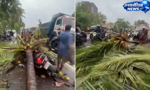 Mira-भायंदर में बारिश के बीच दर्दनाक हादसा, नारियल का पेड़ गिरने से पूर्व डिप्टी मेयर के बेटे की मौत Mira-भायंदर में बारिश के बीच दर्दनाक हादसा, नारियल का पेड़ गिरने से पूर्व डिप्टी मेयर के बेटे की मौत