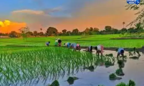 बक्सर: आद्रा नक्षत्र में भी बारिश नहीं, किसान संकट में बक्सर: आद्रा नक्षत्र में भी बारिश नहीं, किसान संकट में