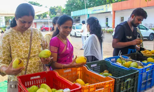 Andhra के आम किसानों की बढ़ेगी कमाई, केंद्र ने बनाया एक्सपर्ट पैनल Andhra के आम किसानों की बढ़ेगी कमाई, केंद्र ने बनाया एक्सपर्ट पैनल