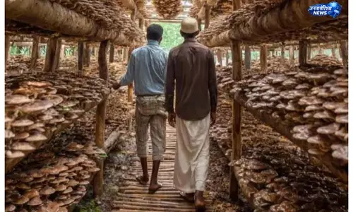 पूसा विश्वविद्यालय देगा मुफ्त ट्रेनिंग पूसा विश्वविद्यालय देगा मुफ्त ट्रेनिंग