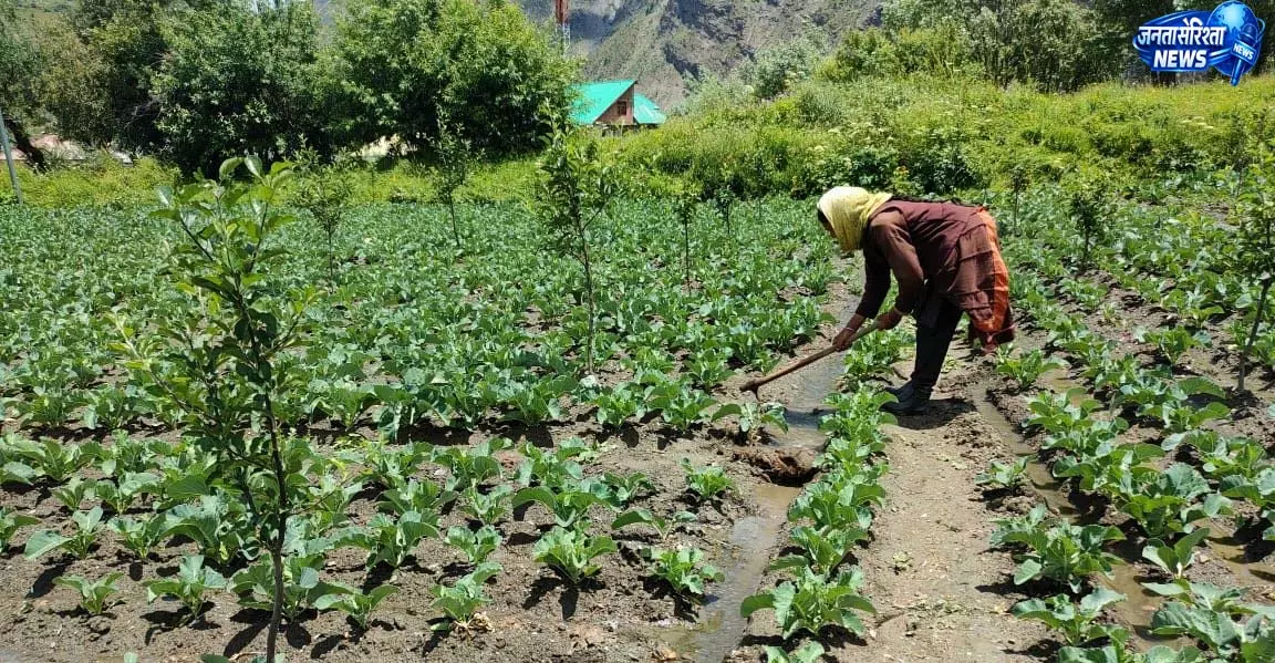 नई Technology से बढ़ेगी फसल उत्पादन की रफ्तार नई Technology से बढ़ेगी फसल उत्पादन की रफ्तार