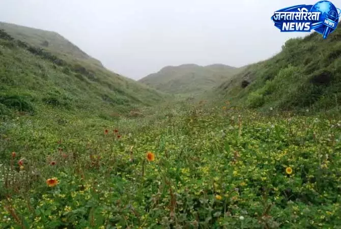बुग्याल में खाई में बदल रहे घास के मैदान बुग्याल में खाई में बदल रहे घास के मैदान