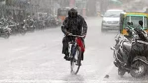 IMD ने आने वाले घंटों में 10 जिलों में बारिश और तेज हवाओं की भविष्यवाणी की IMD ने आने वाले घंटों में 10 जिलों में बारिश और तेज हवाओं की भविष्यवाणी की